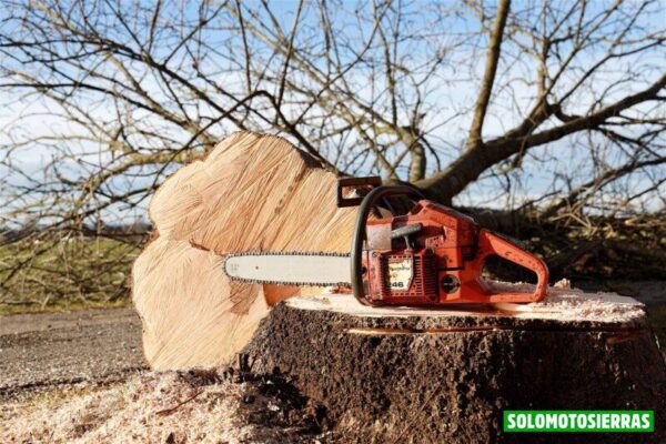 Qué es mejor motosierra eléctrica o de gasolina